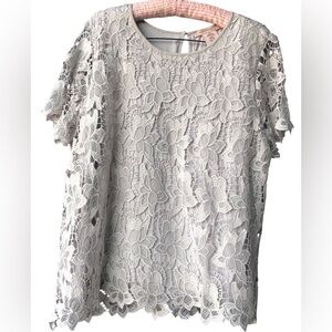Philosophy Light Gray Floral Lace Blouse.Size XL. Overlay Floral Has Lined Body.